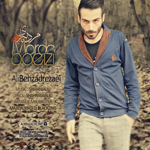 دانلود آهنگ مرد پاییزی